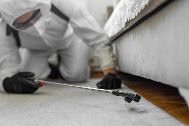Professional Pest Control technician working in Brown County County, OH